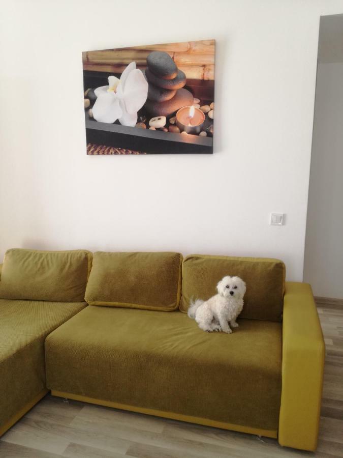 Apartment Summerland Sea View Mamaia