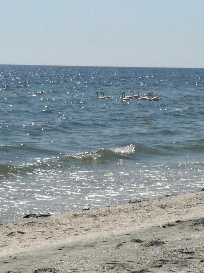 Apartment Summerland Sea View Mamaia